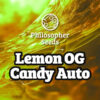 Auto Lemon OG Candy 3 u fem  Philosopher