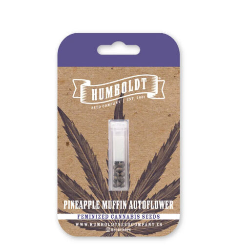 Auto Pineapple Muffin 5 u. fem Humbold Seeds Company