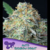 Auto Rainbow Donut fem. Anesia