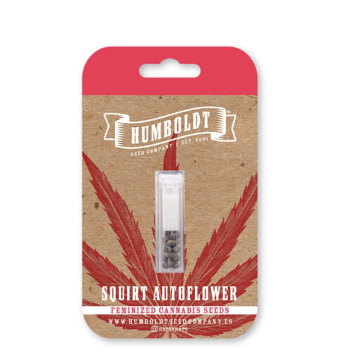 Auto Squirt 3 u. fem Humbold Seeds Company