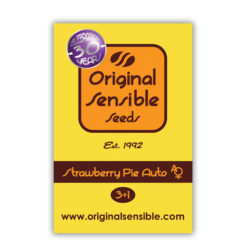 Auto Strawberry Pie fem. Original Sensible