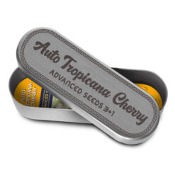 Auto Tropicana Cherry   3 + 1 u. fem. Advanced Seeds