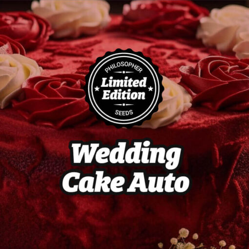 Auto Wedding Cake fem. Philosopher