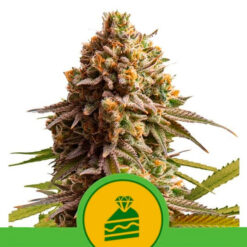 Auto Wedding cake fem. Royal Queen