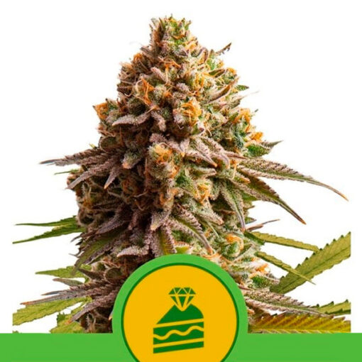 Auto Wedding cake fem. Royal Queen