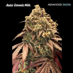 Auto Zerealz Milk fem. Advanced Seeds