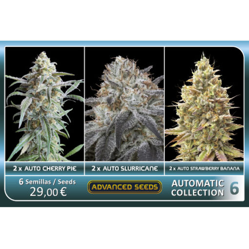 Automatic Collection #6 - Advanced Seeds