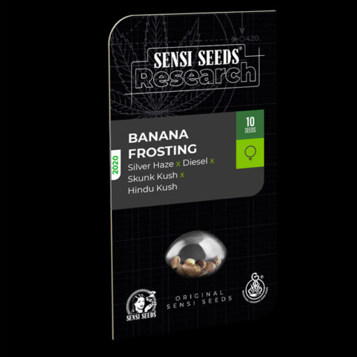 Banana Frosting fem. Sensi Seeds Research