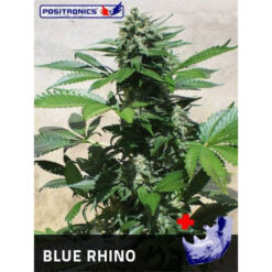 Blue Rhino fem. Positronics Seeds