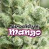 Brooklyn Mango fem. Dr Underground
