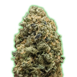 Bruce Banner fem. Monster Genetics