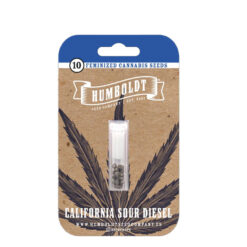 California Sour Diesel 3 u. fem Humbold Seeds Company