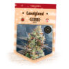 Candyland fem. Garden of Green Seeds