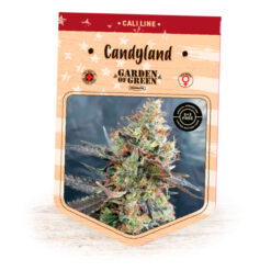 Candyland fem. Garden of Green Seeds