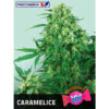 Caramelice fem. Positronics Seeds