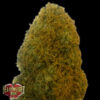Champions Cheese fem. Heavyweight Seeds