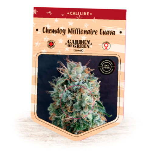 Chemdog Millionaire Guava fem. Garden of Green Seeds