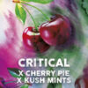 Critical Cherry fem. Tramuntana Seeds