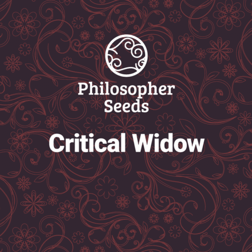 Critical Widow fem. Philosopher