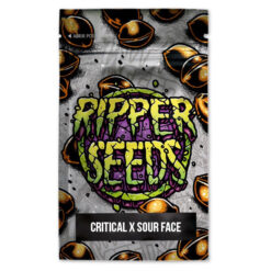 Critical x Sour Face 3 u. fem. Ed. Lim. Ripper Seeds