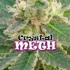 Crystal M.E.H.T. fem. Dr Underground