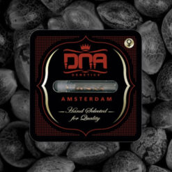 DNA Mix fem. DNA Genetics