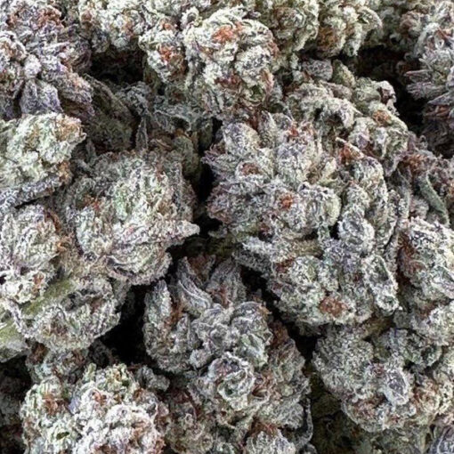 Double Fire Headband fem. Humboldt Seed Organization