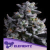 Elementz fem. Anesia