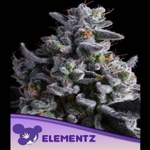 Elementz fem. Anesia