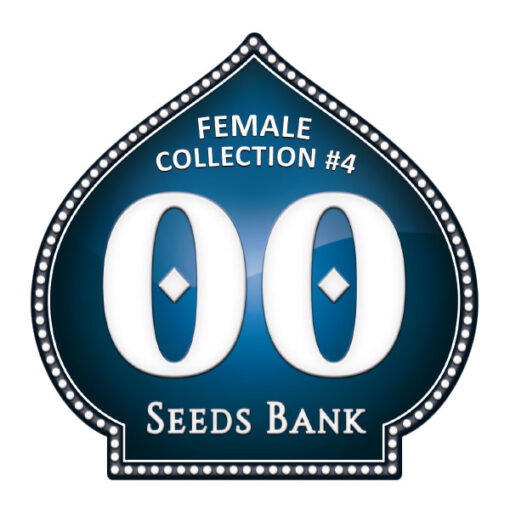 Female Collection 4 - 00 Seeds