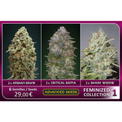 Feminized Collection  #1 Advanced Seeds