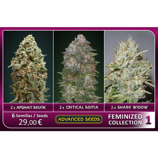 Feminized Collection  #1 Advanced Seeds