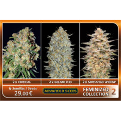 Feminized Collection  #2 Advanced Seeds