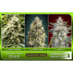 Feminized Collection  #3 Advanced Seeds