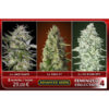 Feminized Collection  #4 Advanced Seeds