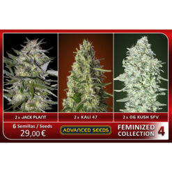 Feminized Collection  #4 Advanced Seeds