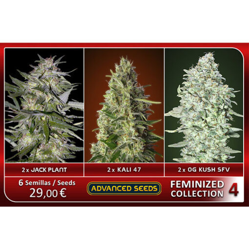 Feminized Collection  #4 Advanced Seeds