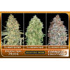 Feminized Collection  #9 Advanced Seeds