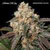 Forbidden Fruit Cake fem. Advanced Seeds