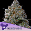 Fryday Boof 10 u. fem Anesia