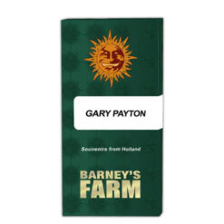 Gary Payton fem. Barney's