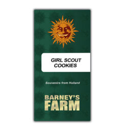 Girl Scout Cookies fem. Barney's