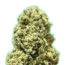 Girl Scout Cookies fem. Monster Genetics