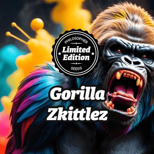 Gorilla Zkittlez fem. Philosopher
