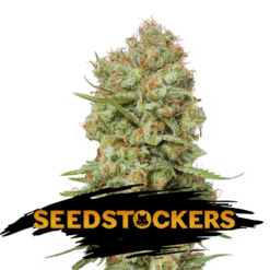 Green Crack fem. Seedstockers