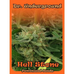 Hell Stone fem. Dr Underground