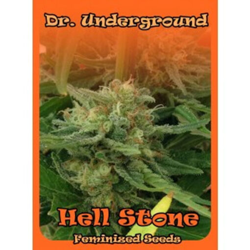 Hell Stone fem. Dr Underground