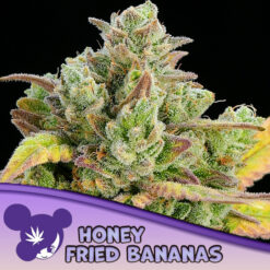Honey Fried Bananas  3 u. fem Anesia