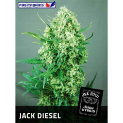 Jack Diesel fem. Positronics Seeds