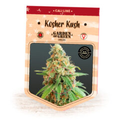 Kosher Kush fem. Garden of Green Seeds